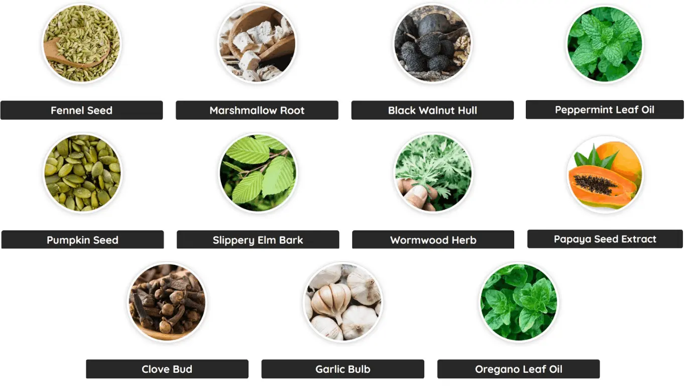 GlucoFlush Ingredients 